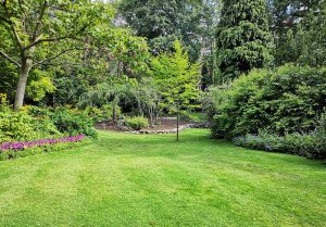 Optimiser l'expérience du jardin à Jonquières