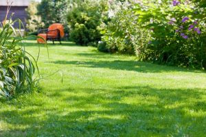 travaux jardin et paysage Jonquières